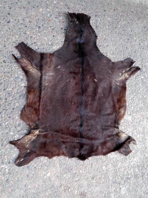 piel animales 57x40 3u 80x46 61x48 80x50 90x74 110x85 113x100